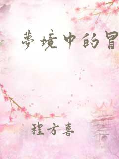 梦境中的冒险家