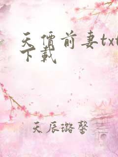 天价前妻txt下载