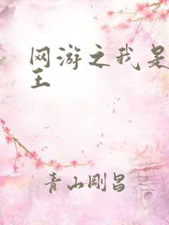 网游之我是海贼王