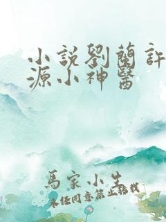 小说刘兰许凡桃源小神医