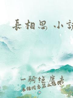 长相思 小说