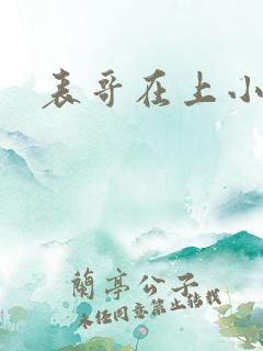 表哥在上小说