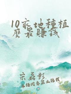 10亩地种植什么最赚钱