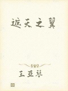 遮天之翼