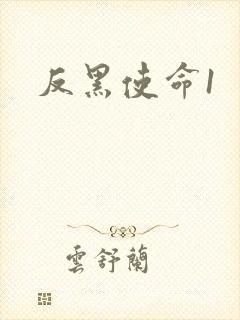 反黑使命1
