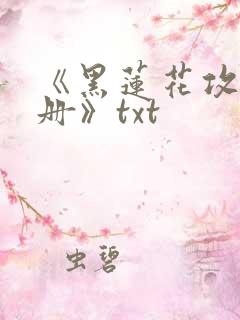 《黑莲花攻略手册》txt