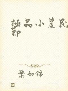极品小农民新章节