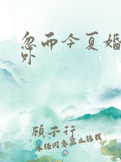 忽而今夏婚后番外
