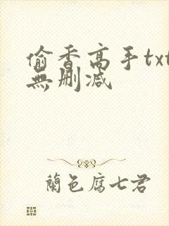 偷香高手txt无删减