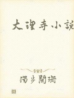 大理寺小说