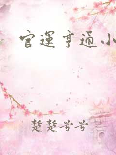 官运亨通小说
