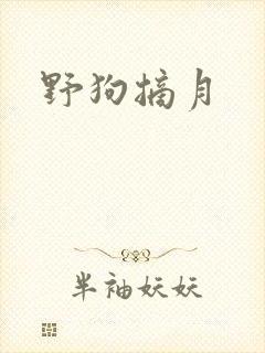野狗摘月