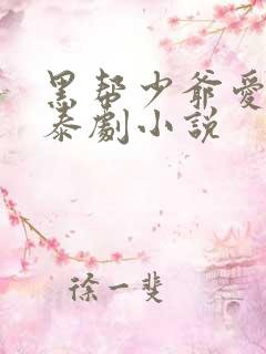 黑帮少爷爱上我泰剧小说