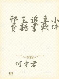 邪王追妻小说免费听书软件