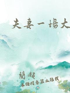 夫妻一场大结局