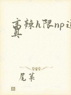 高辣h限np道具