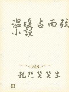 温暖占南弦尹衿小说