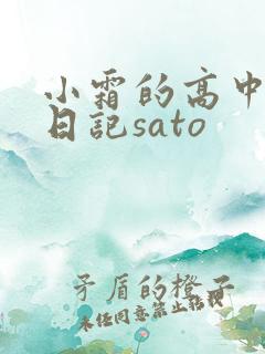 小霜的高中成长日记sato