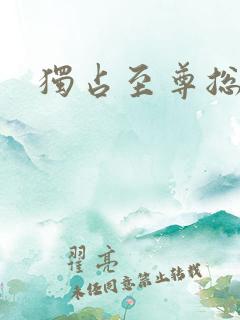 独占至尊总裁