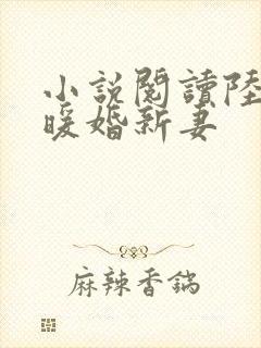 小说阅读陆少的暖婚新妻