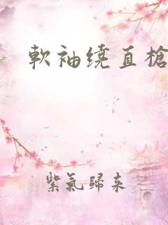 软袖绕直枪