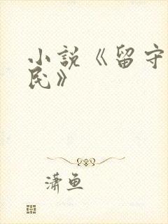 小说《留守小农民》