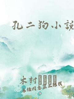 孔二狗小说