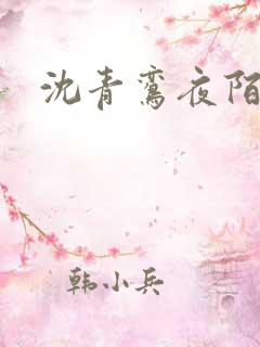 沈青鸾夜陌凌