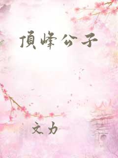 顶峰公子