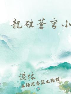 龙破苍穹小说