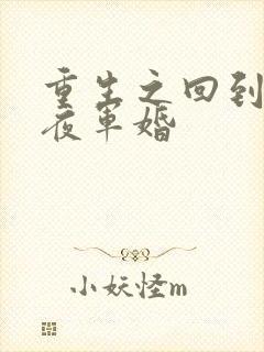 重生之回到新婚夜军婚