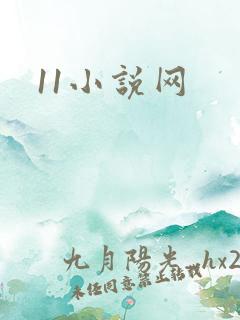 11小说网