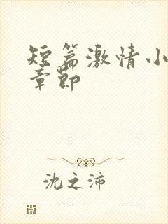 短篇激情小说全章节