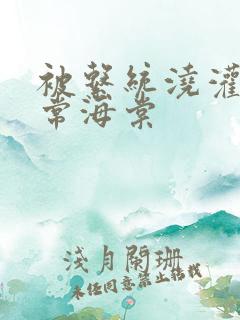 被系统浇灌的日常海棠