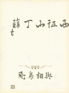 薛丁山征西txt