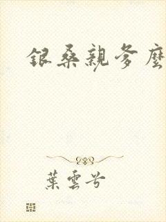 银桑亲爹么么哒
