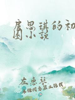 房思琪的初恋乐园小说