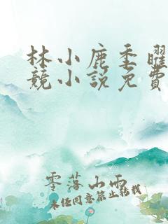 林小鹿季曜珉电竞小说免费阅读