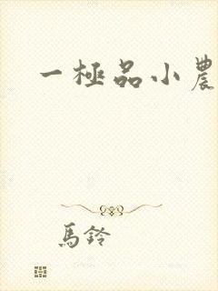 一极品小农民
