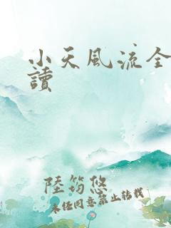 小天风流全文阅读