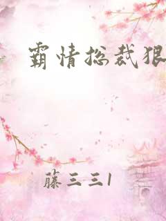 霸情总裁狠狠爱