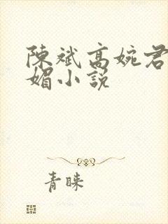 陈斌高婉君赵心媚小说