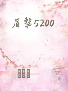 盾击5200