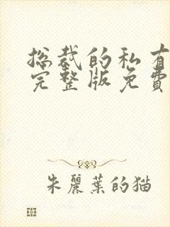 总裁的私有宝贝完整版免费阅读