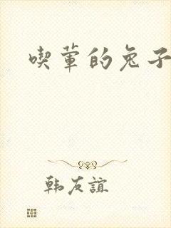 吃荤的兔子CH
