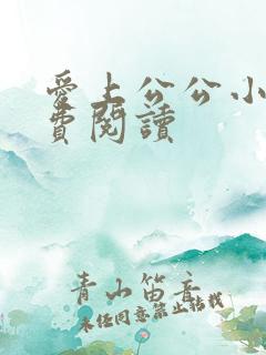 爱上公公小说免费阅读
