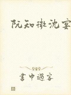阮知微沈宴电竞