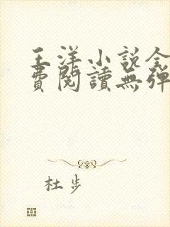 王洋小说全文免费阅读无弹窗