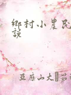 乡村小农民的小说