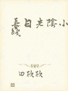 长日光阴小说在线